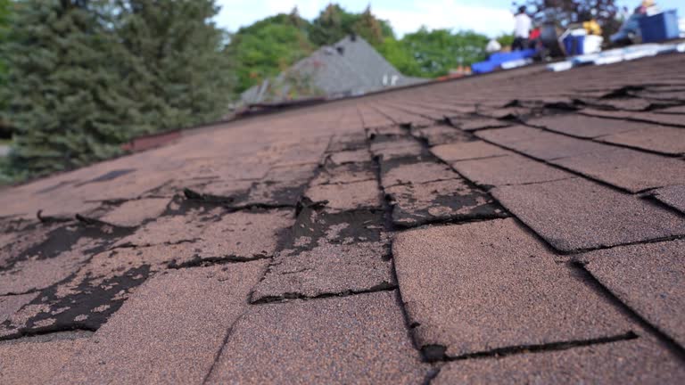 Best Cold Roofs  in Fort Campbell North, KY