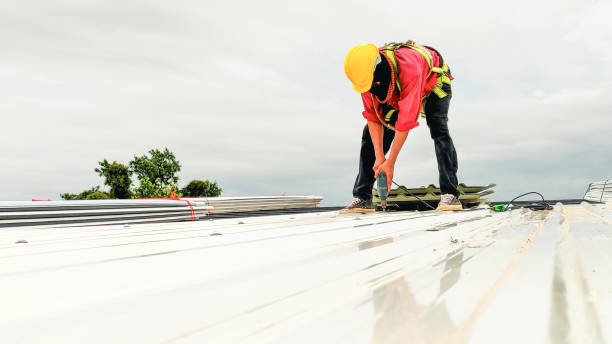 Best Roof Maintenance and Cleaning  in Fort Campbell North, KY